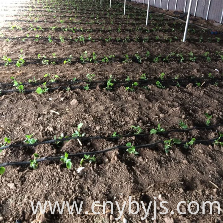 Drip Irrigation 94